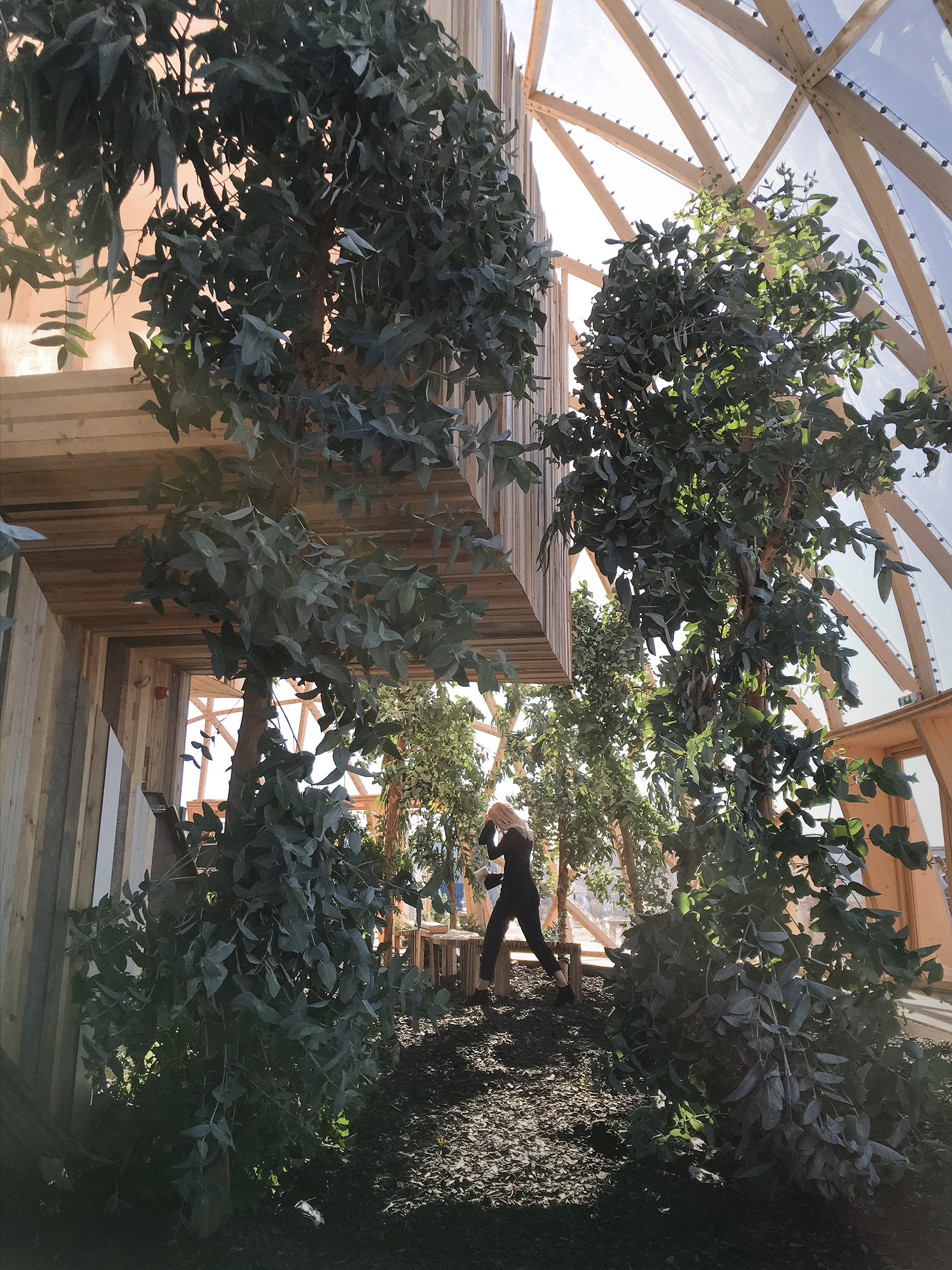 绿意环绕的临时性建筑 | Dome of Visions 3.0-27