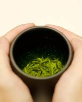 零次方出品·壹辈子茶杯