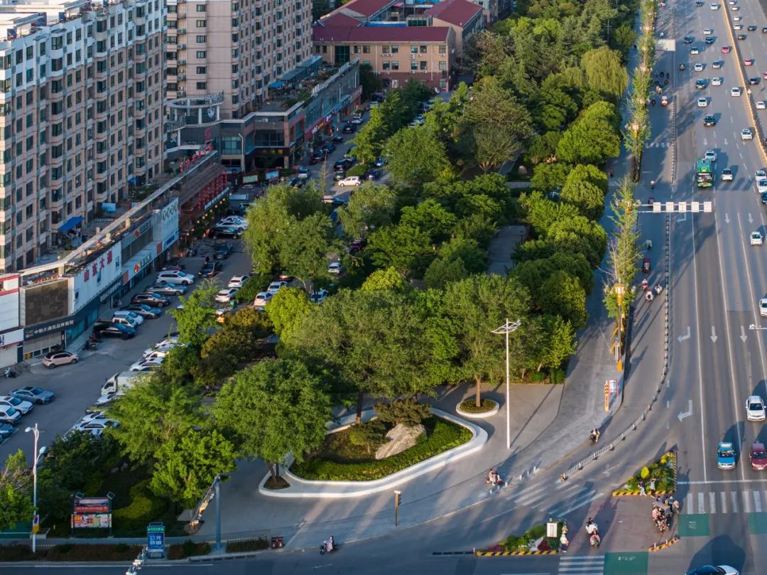 滕州北辛路道路绿化提升工程丨中国山东丨同圆设计集团股份有限公司-16