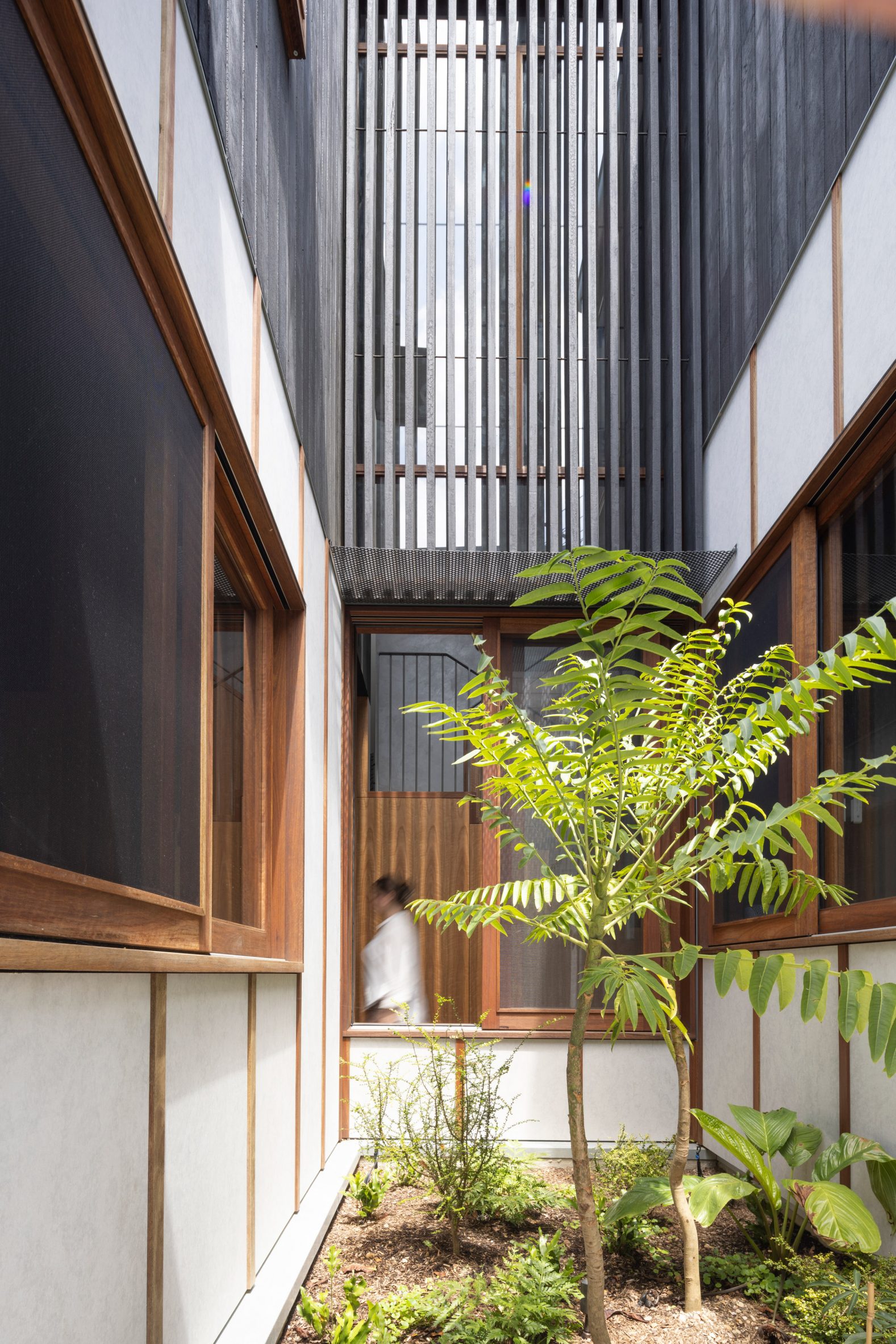 丨澳大利亚悉尼丨Sam Crawford Architects-11