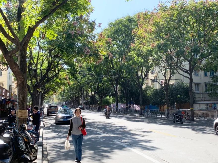 东泉社区更新实践丨中国上海丨上海梓耘斋建筑工作室-9