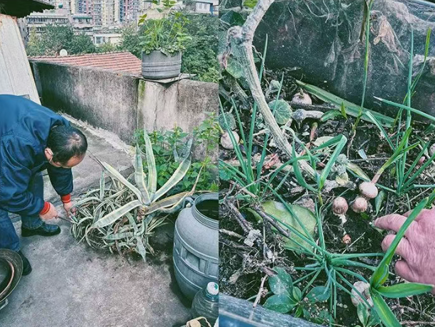 CACPA|花花花画画画-17