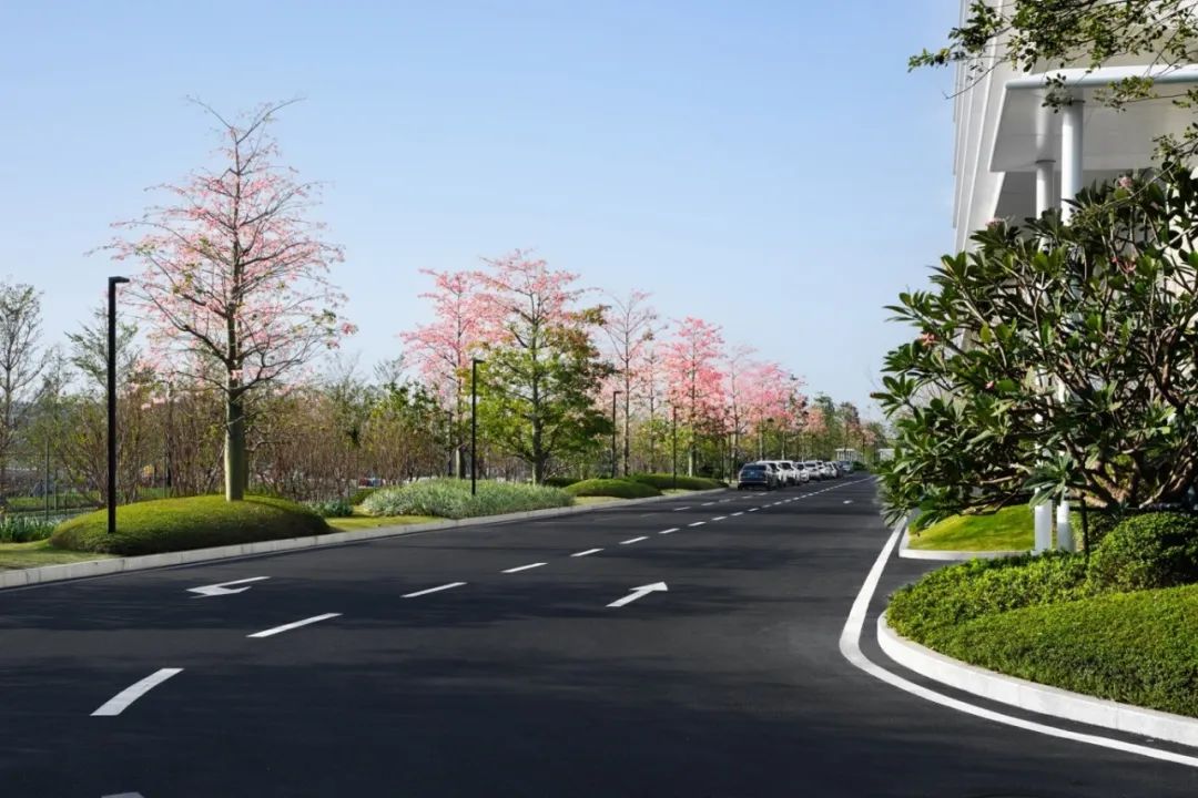 OPPO 智能制造中心项目 B 地块一期北区厂房园林景观分包工程丨萨尔瓦多滨海丨广州普邦园林股份有限公司-15