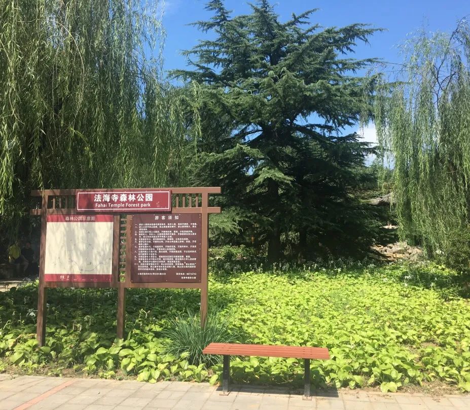 模式口绿色生态规划丨中国北京丨奥雅纳-26