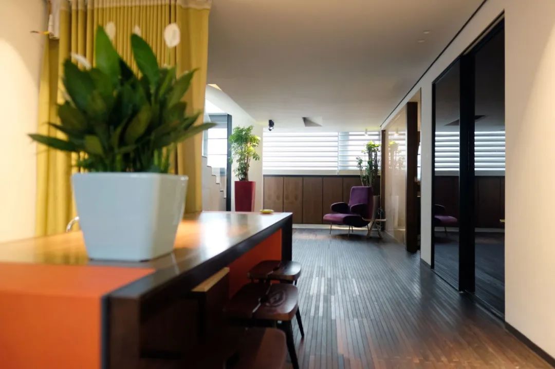 深圳听雪居 | 旧楼翻新,生活气息与设计美学的完美融合-40