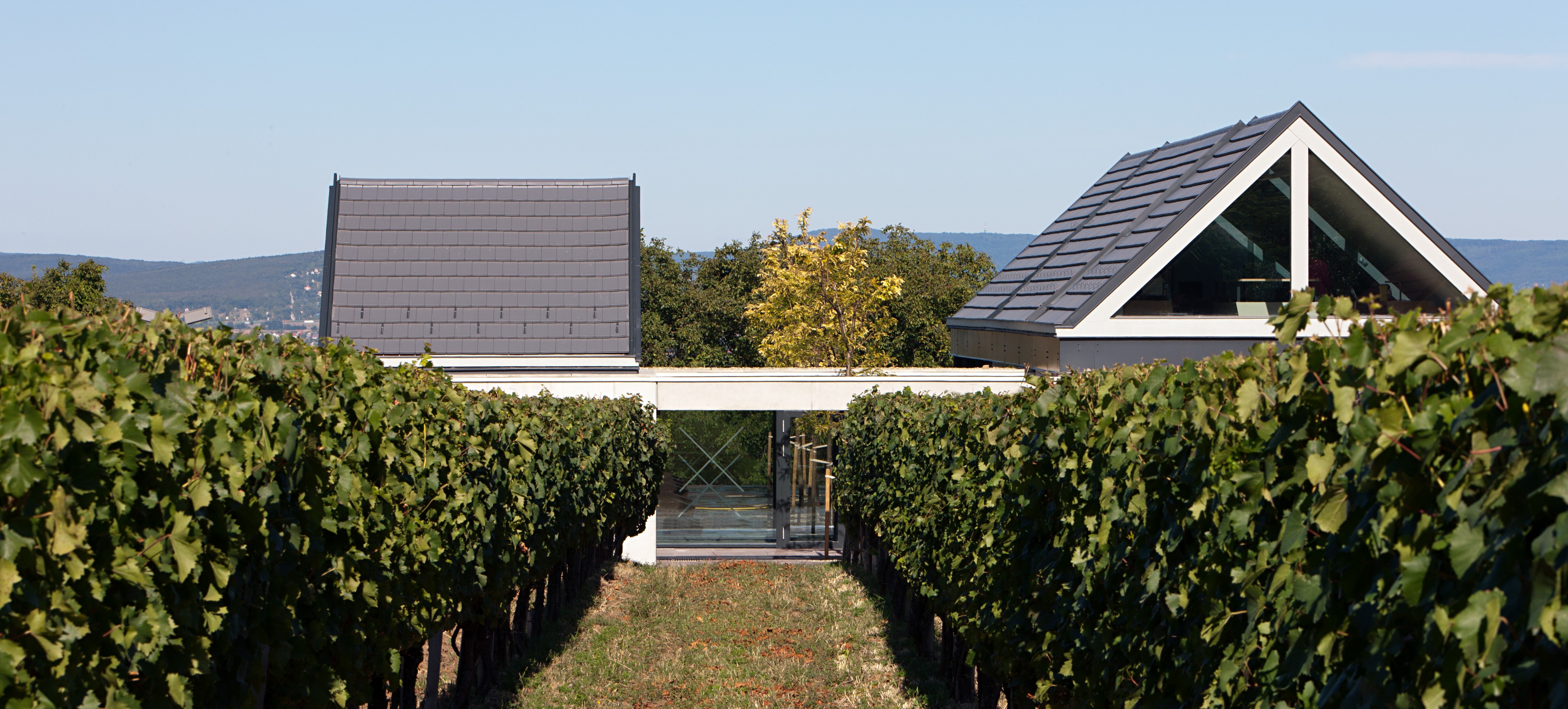 艾泰基库里亚酒庄-27