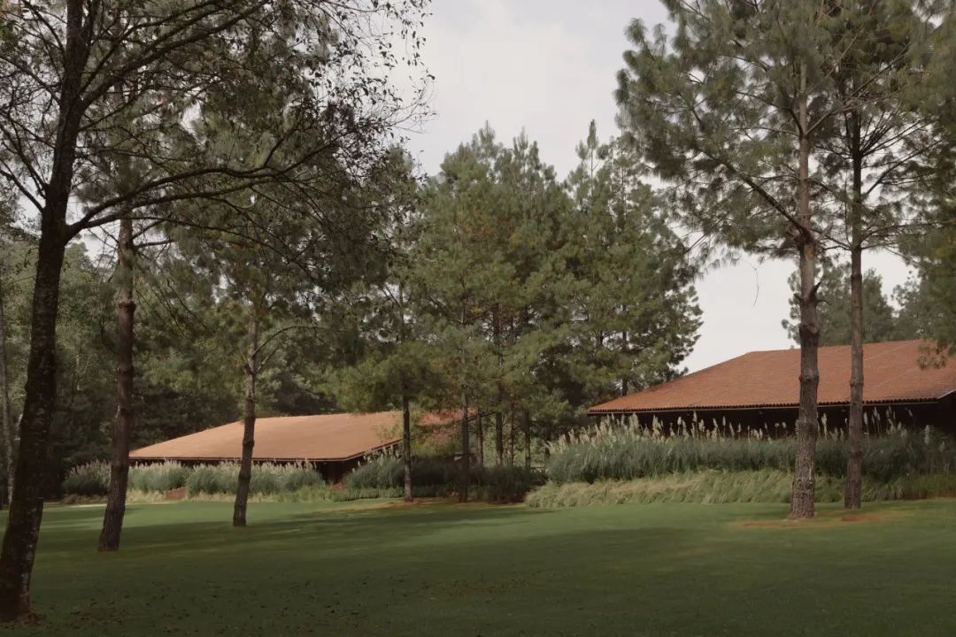 马术圣拉蒙丨墨西哥丨Módica Ledezma-9