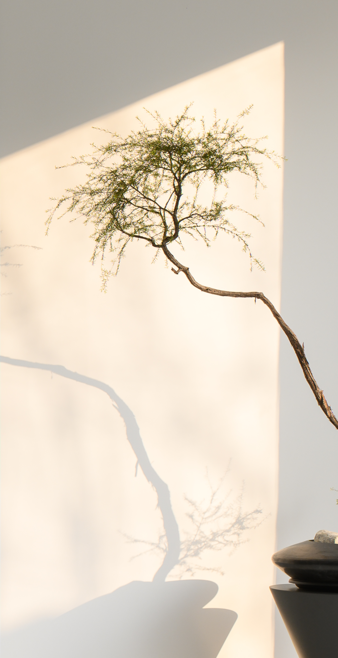 极简大宅,柳岸晓风-8