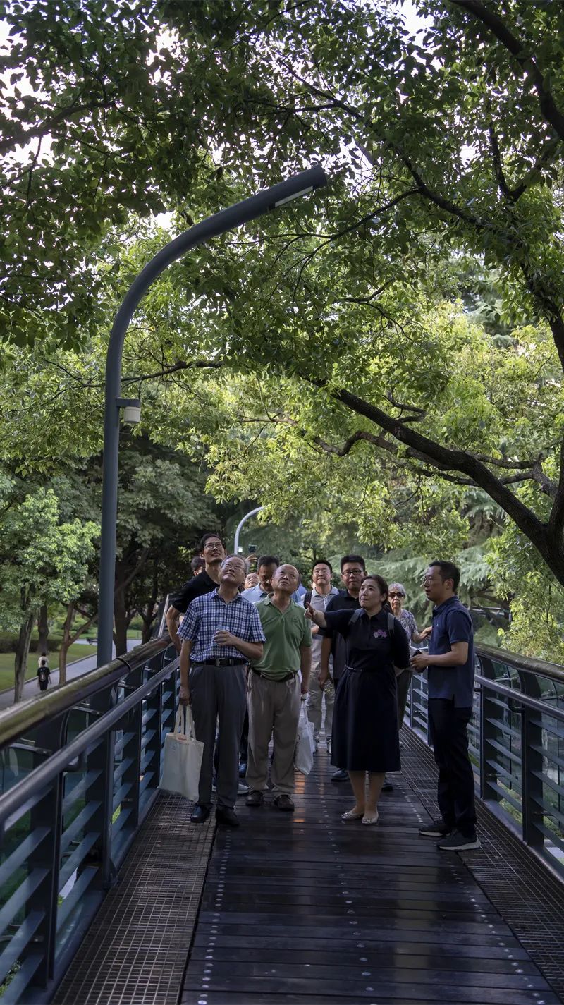 RDI瑞国际照明设计|徐家汇公园光污染防控及健康照明示范基地正式揭牌-引领城市健康照明新方向-23