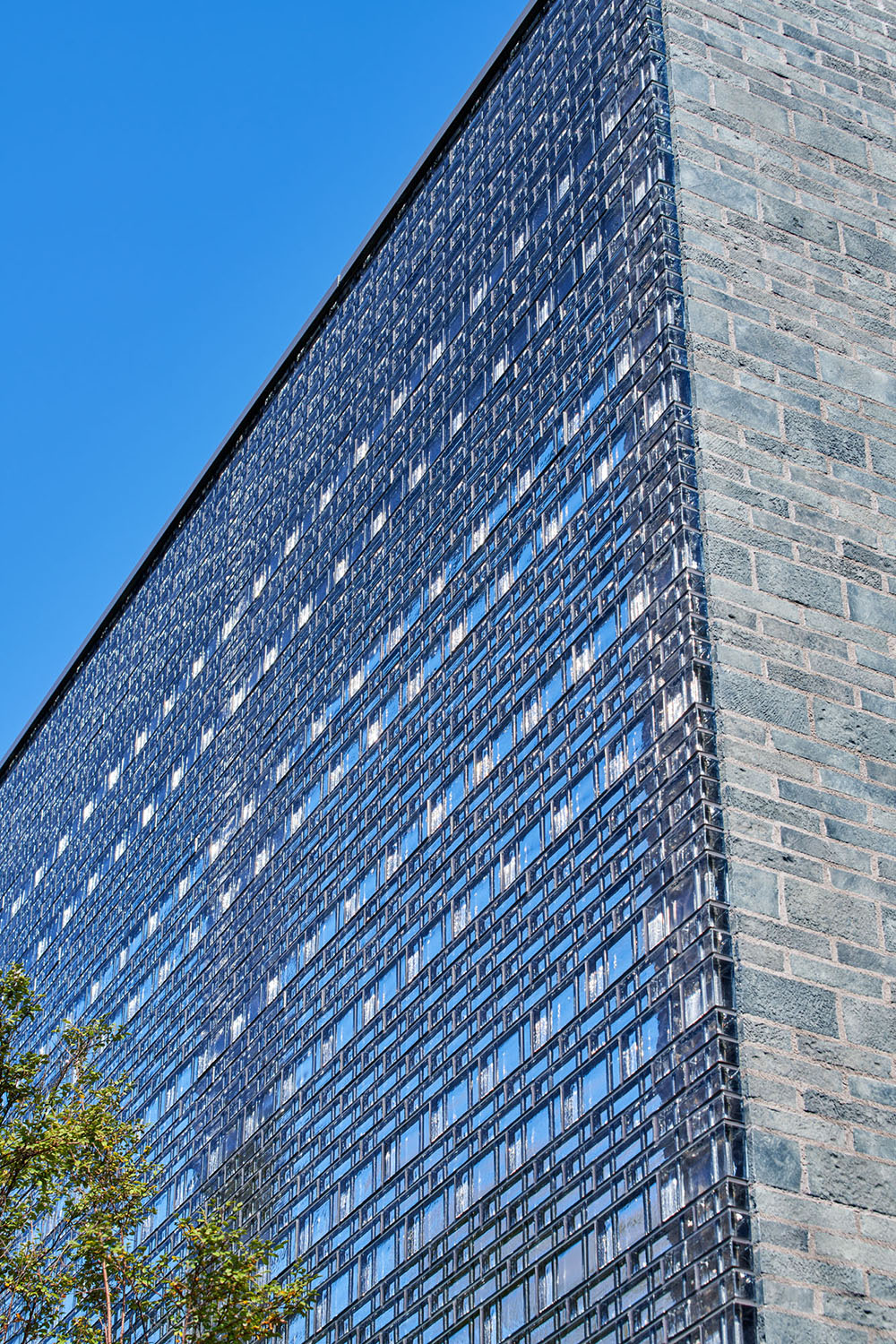 圣石庭院（House of the Sacred Rock）丨日本京都丨Hiroshi Nakamura & NAP-76