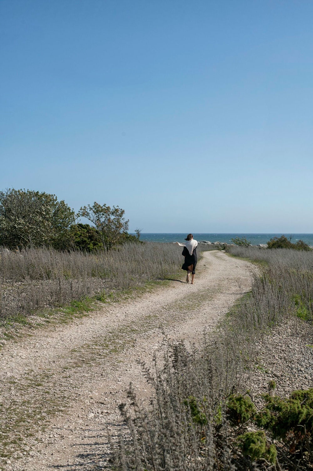 自然之境 | 瑞典 Gotland 岛的优雅野性度假屋-12