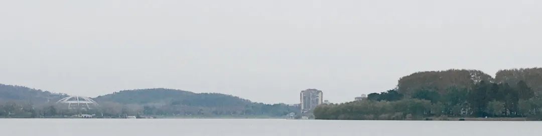 南京喜茶金茂汇店 | 古城墙下的现代茶空间-21