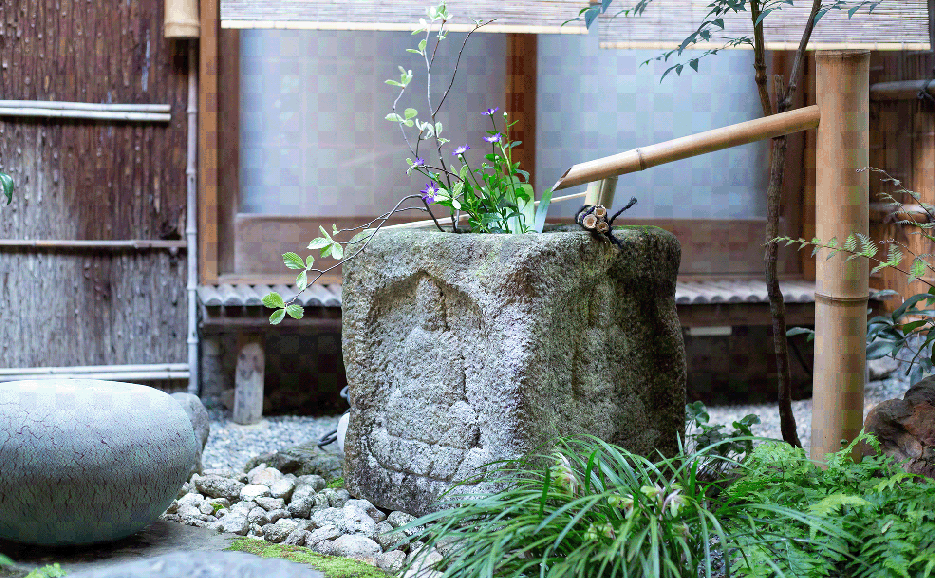 光月(注:MITSUKI在日语中可能对应光月,比如《火影忍者》里有角色光月桃地再不斩,光月罗马音就是MITSUKI ,当然也可能有其他人名、地名等对应,但需结合具体语境,这里暂按常见人名姓氏处理) 丨日本京都丨AtSpace Architects-20