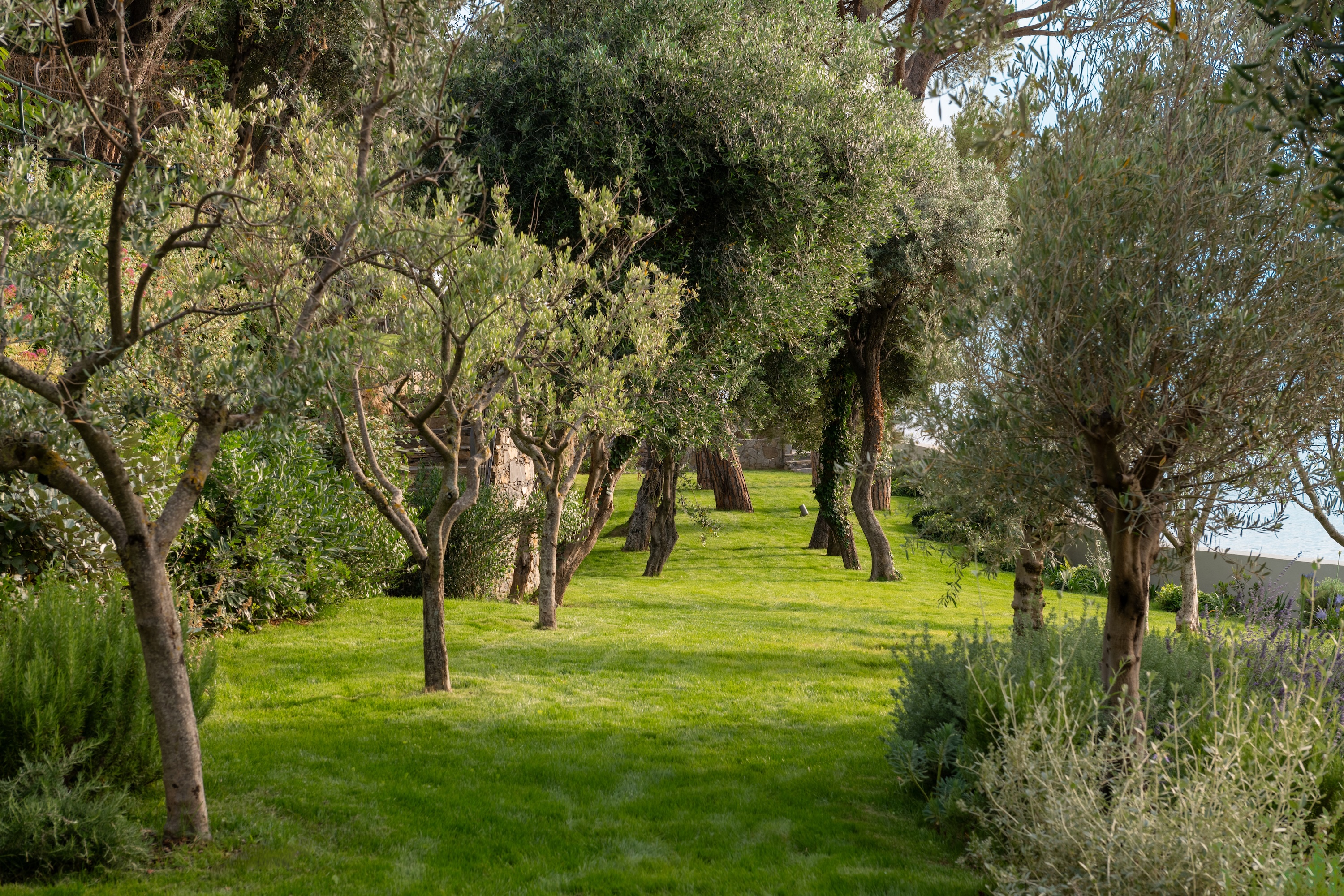 雷科的别墅丨意大利-34