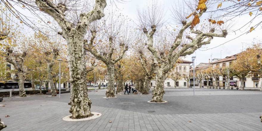 重塑 Irun 老城区广场-23