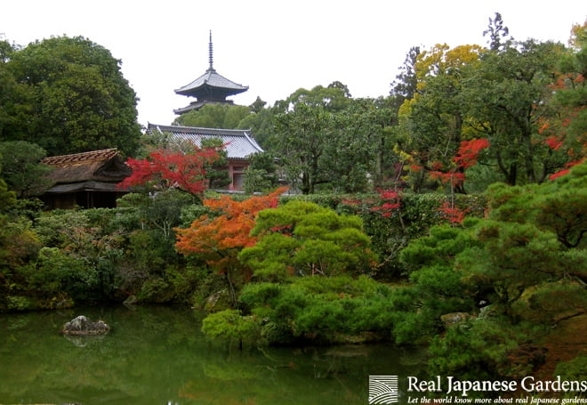Ninna  ji（仁和寺）丨日本京都-9