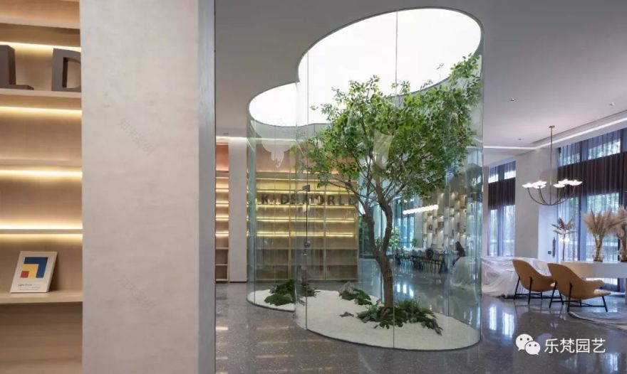 乐梵雨林体验馆 | 绿野仙踪般的室内生态之旅-100