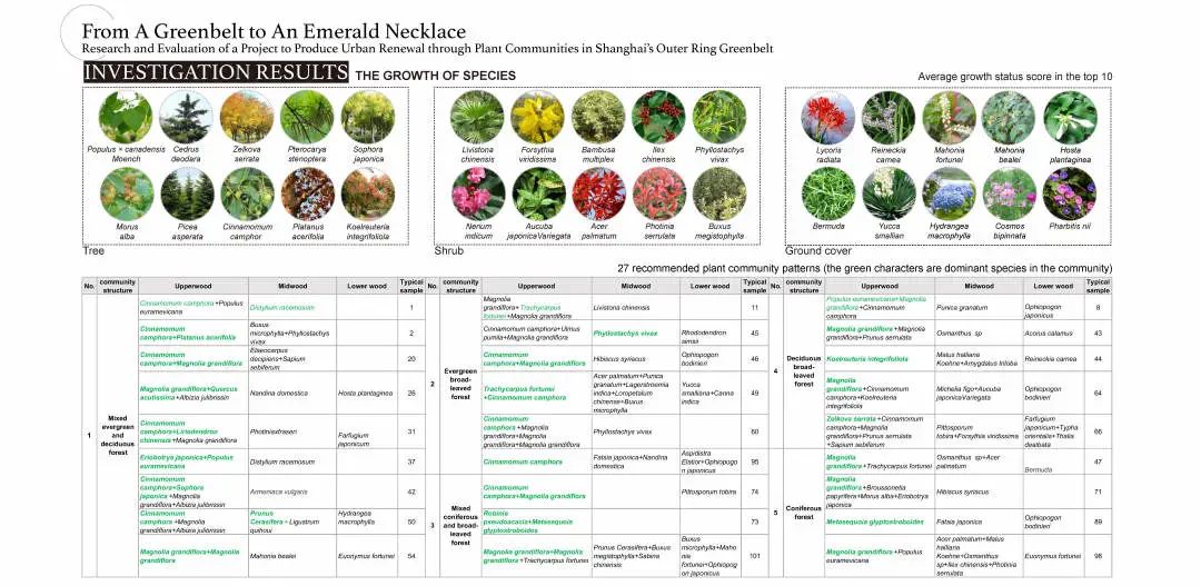 上海外环林带植物群落评估与更新研究 | 从绿带到珍珠项链-33