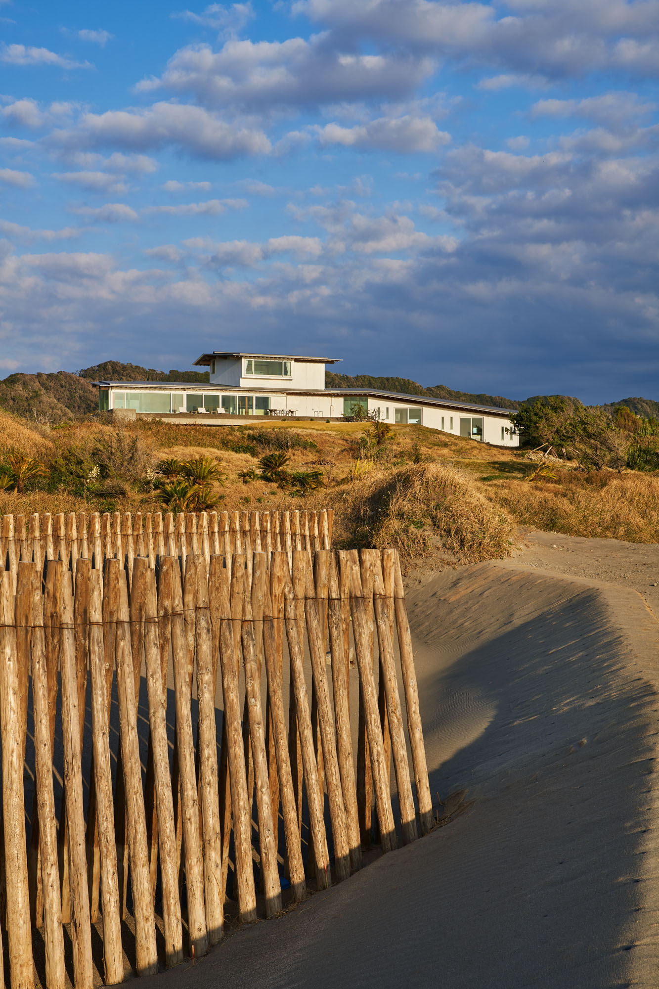 Logs on the Dune Hiroshi Nakamura - NAP-7