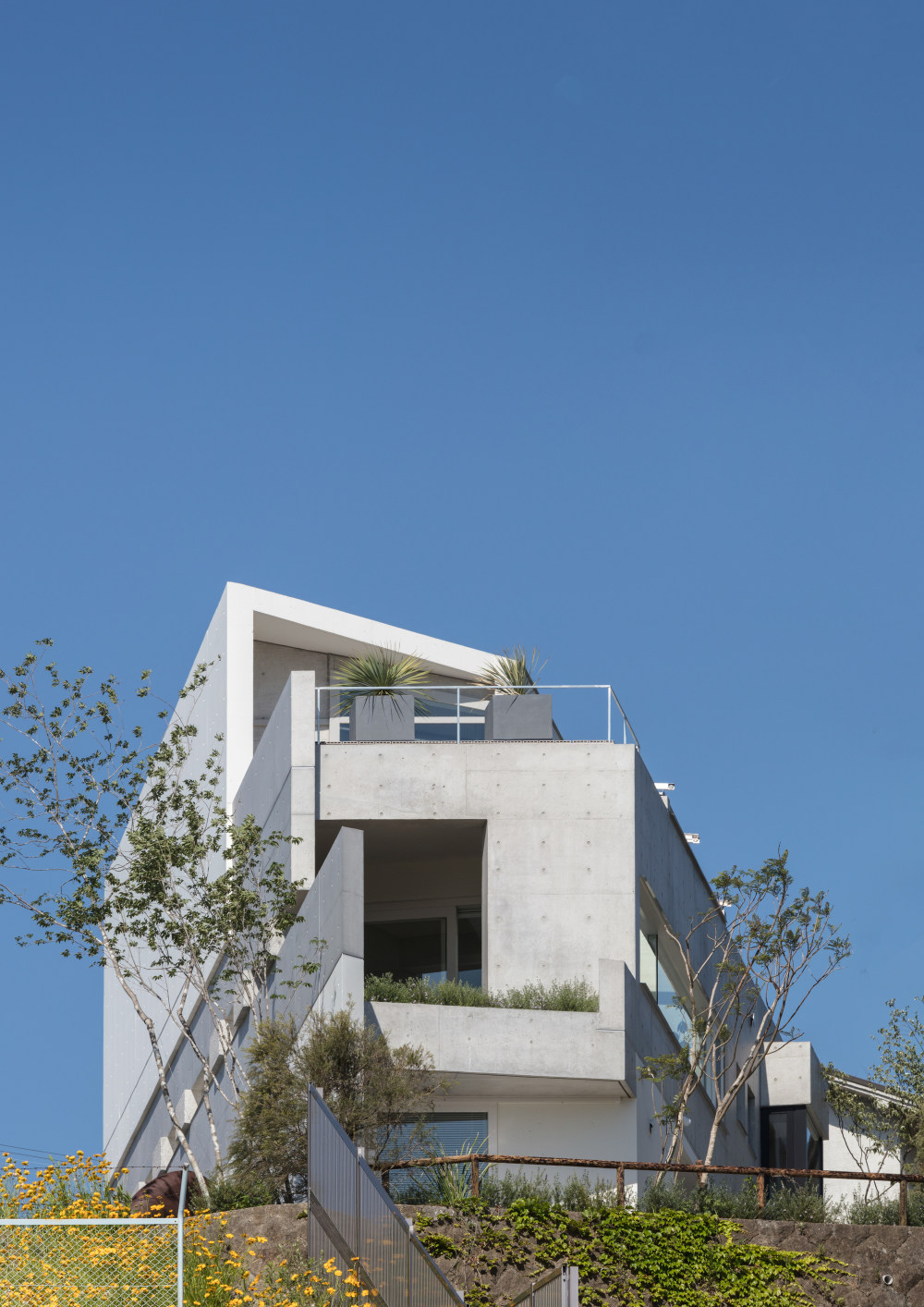 日本 Ashiya 住宅区历史与现代融合的温馨之家-29