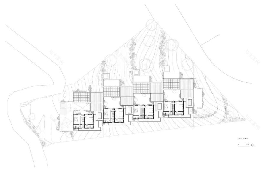 蕨类植物丨墨西哥丨Taller Hector Barroso-24