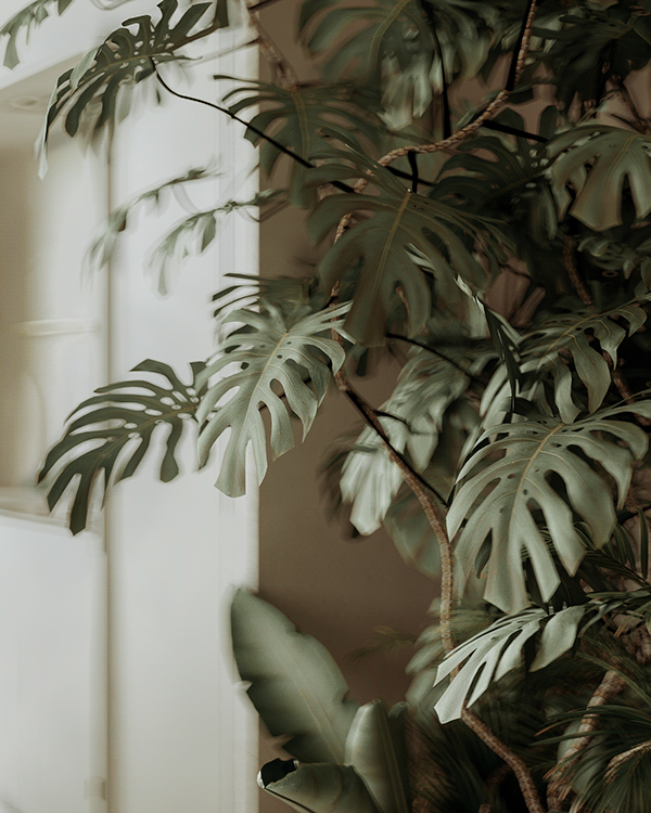 西安·雁鸣湖丨中国西安丨OZD 本来-1