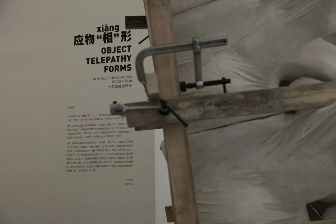 展览现场｜《应物“相”形》展览的空间剧本及其实施-2