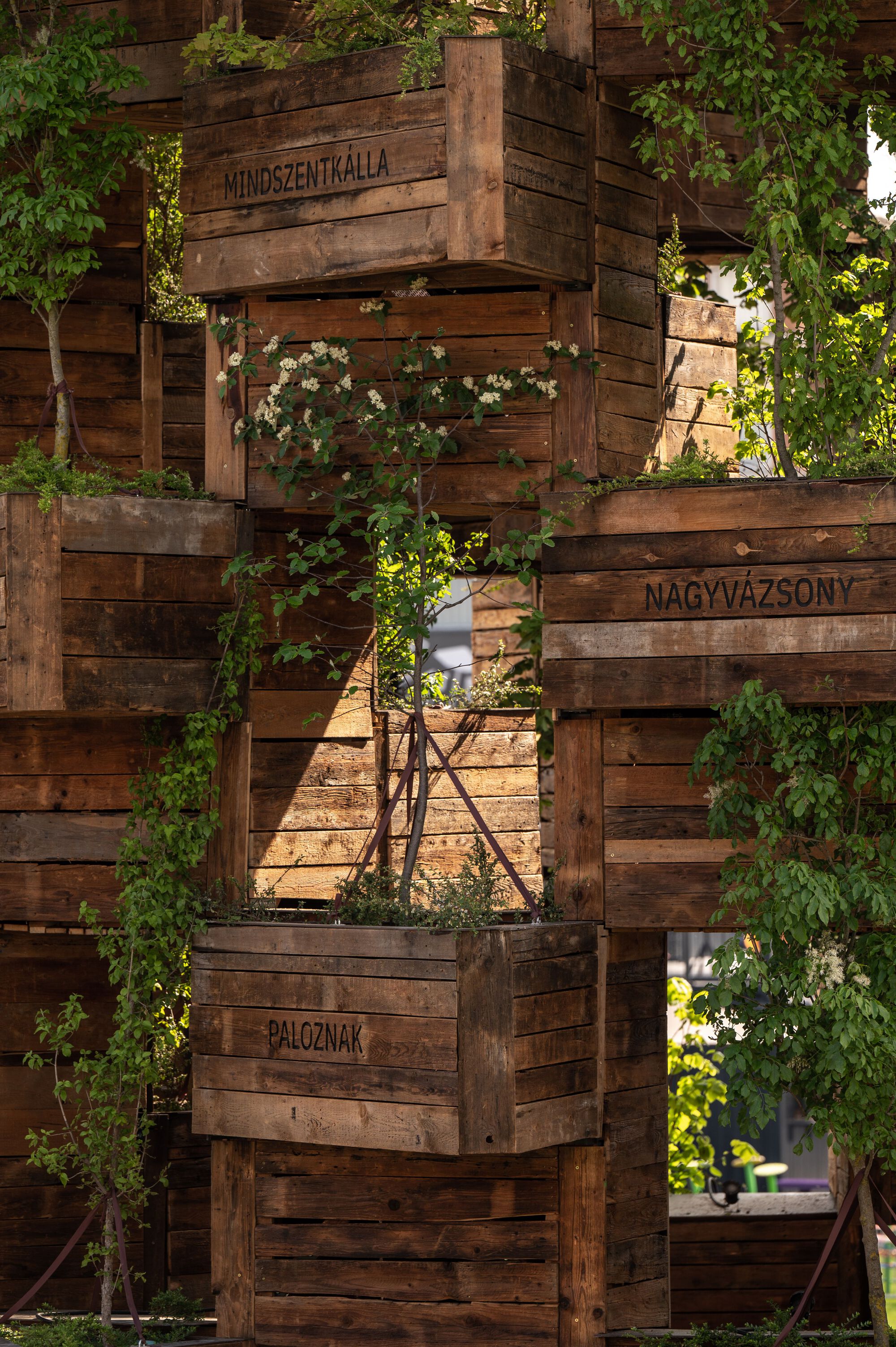 社区花园展馆丨匈牙利维斯普雷姆丨Hello Wood-39