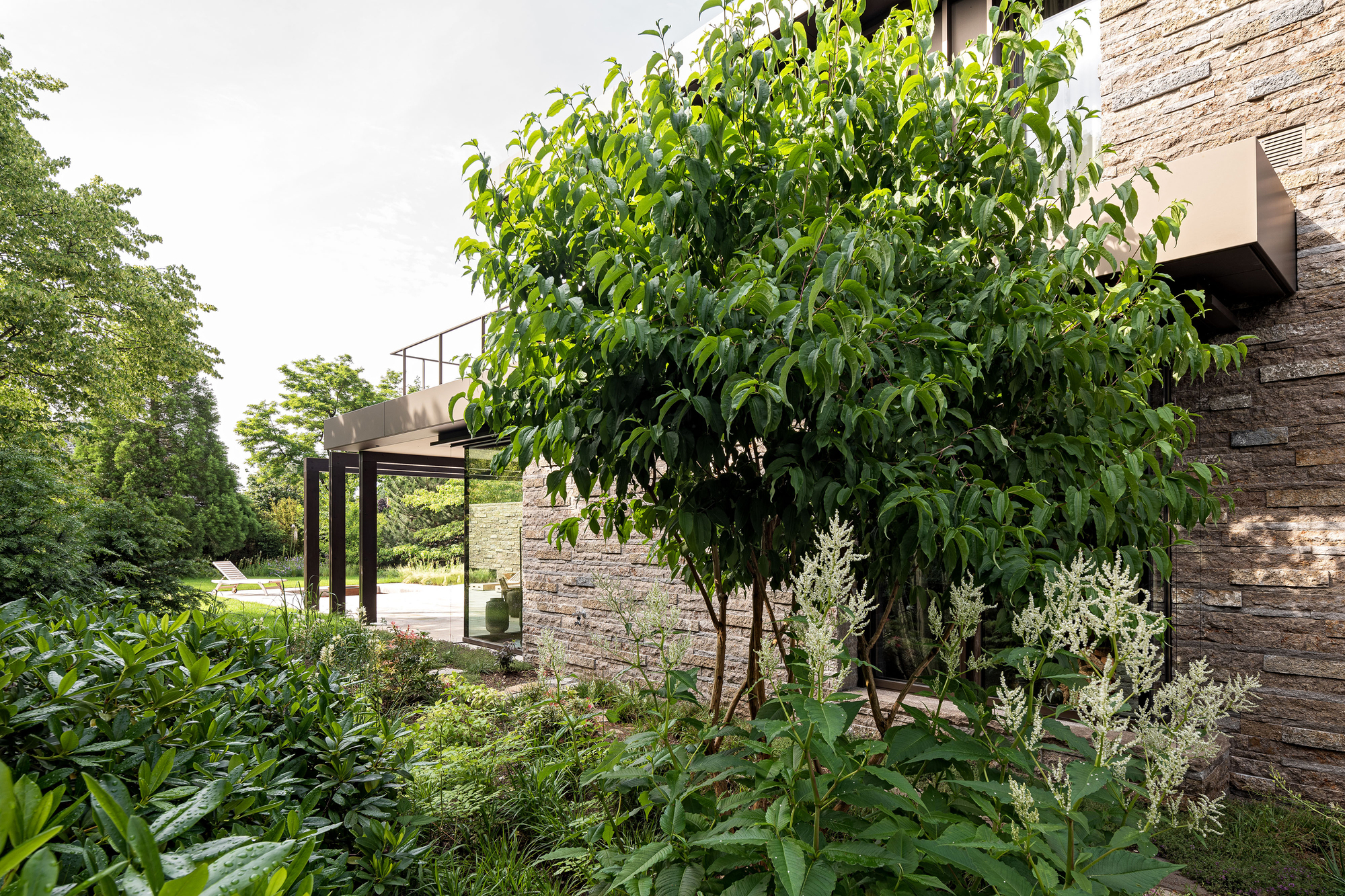 家养小精灵花园丨德国慕尼黑丨Stephan Maria Lang Architects-18