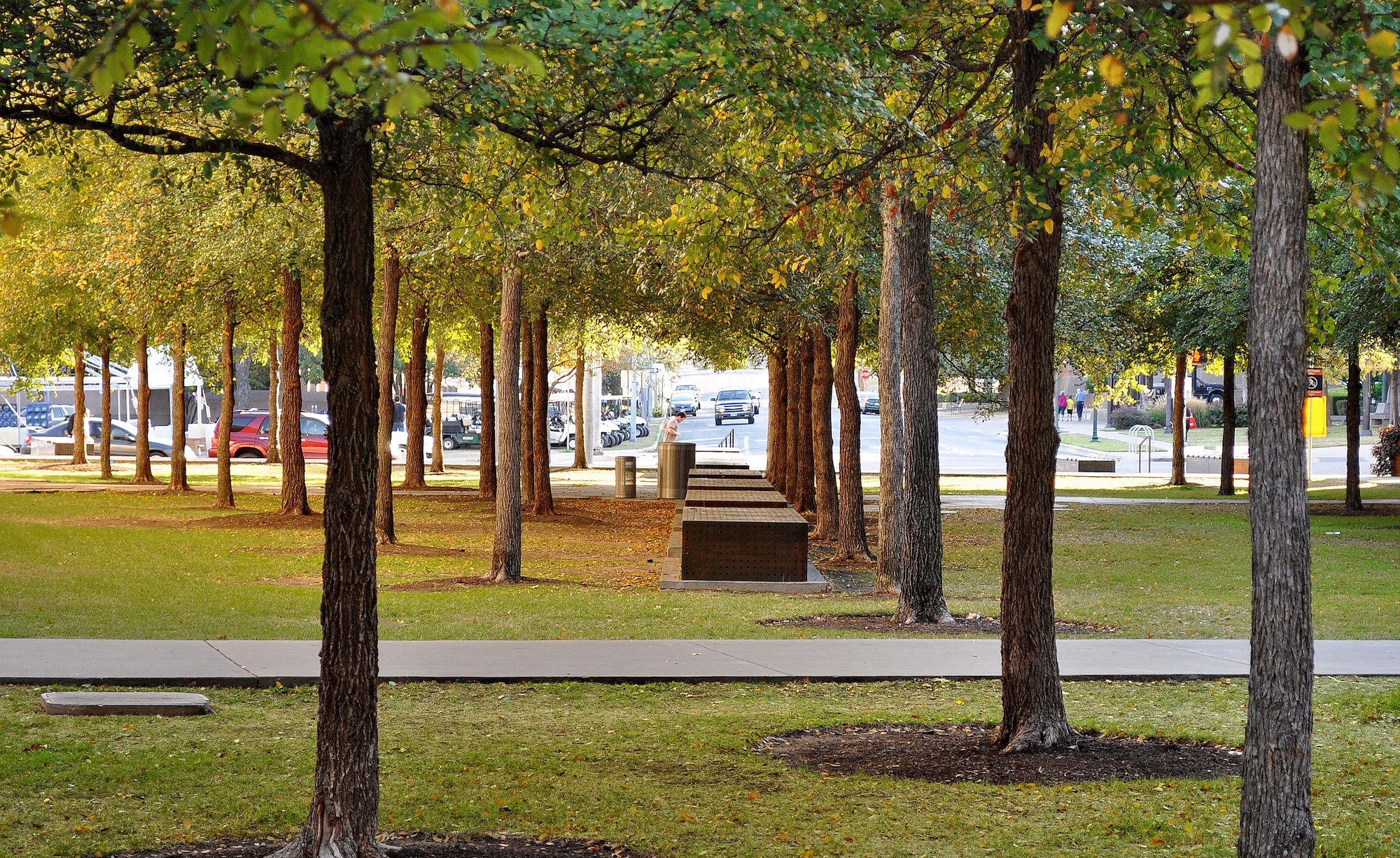 Blanton Museum of Art — PWP-1