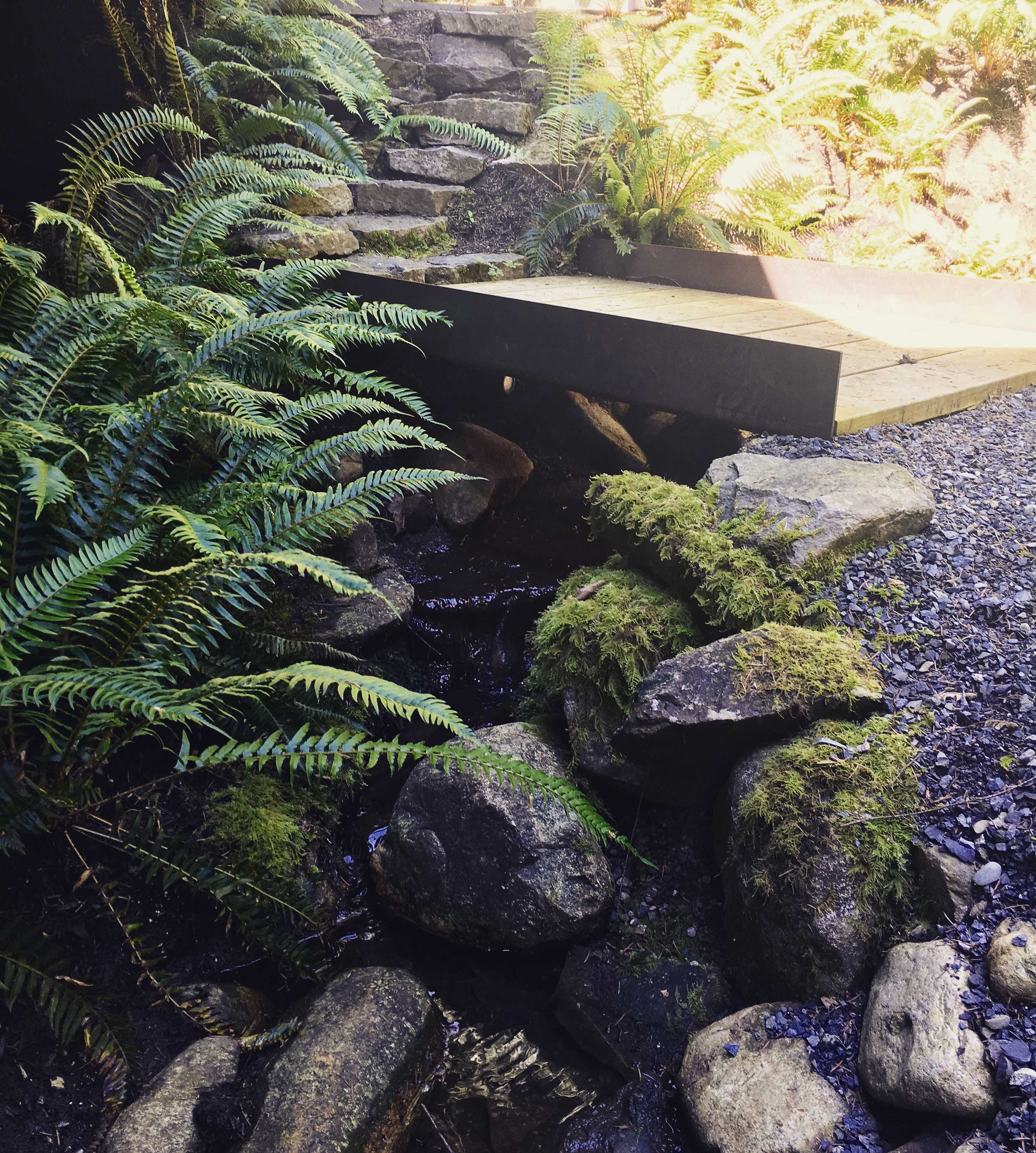 柏树瀑布住宅-19