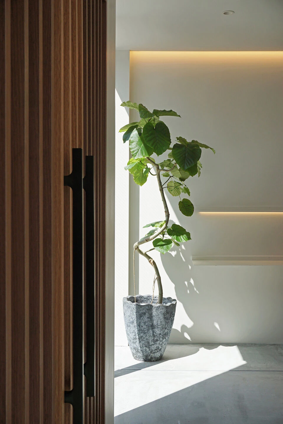 Pâtisserie La Gare 甜品店丨日本兵库丨Nao Tokuda-33