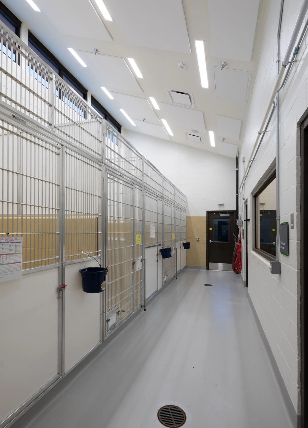 俄勒冈人道协会丨美国波特兰丨Scott Edwards Architecture-48