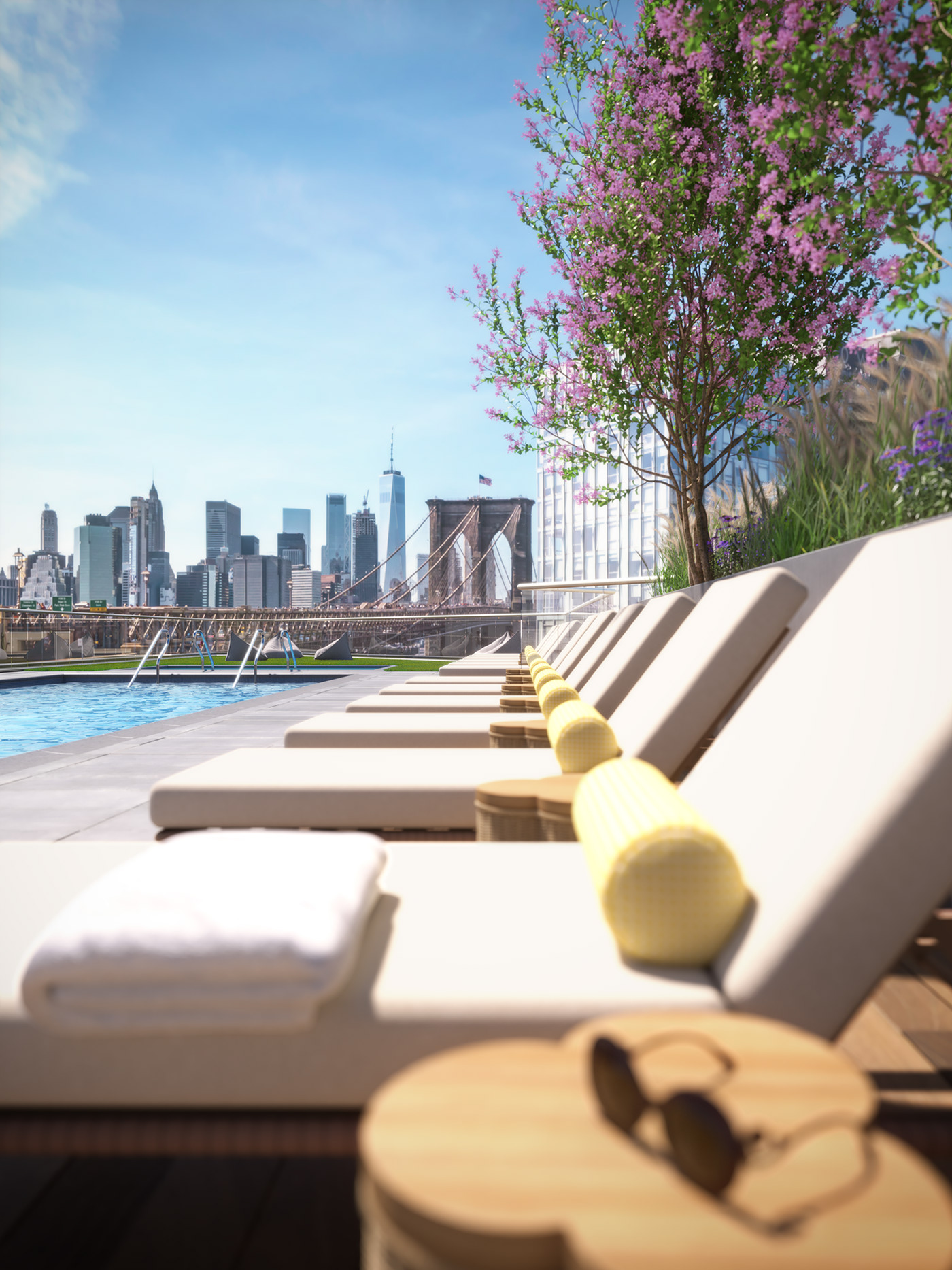 奥林匹亚小飞象丨美国丨Hill West Architects,Workstead-33