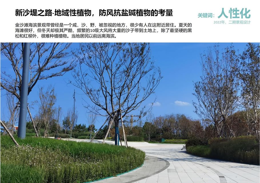 与海共存，向海而生——烟台金沙滩一二期景观规划与设计 | AECOM北京 | 中国山东烟台-15