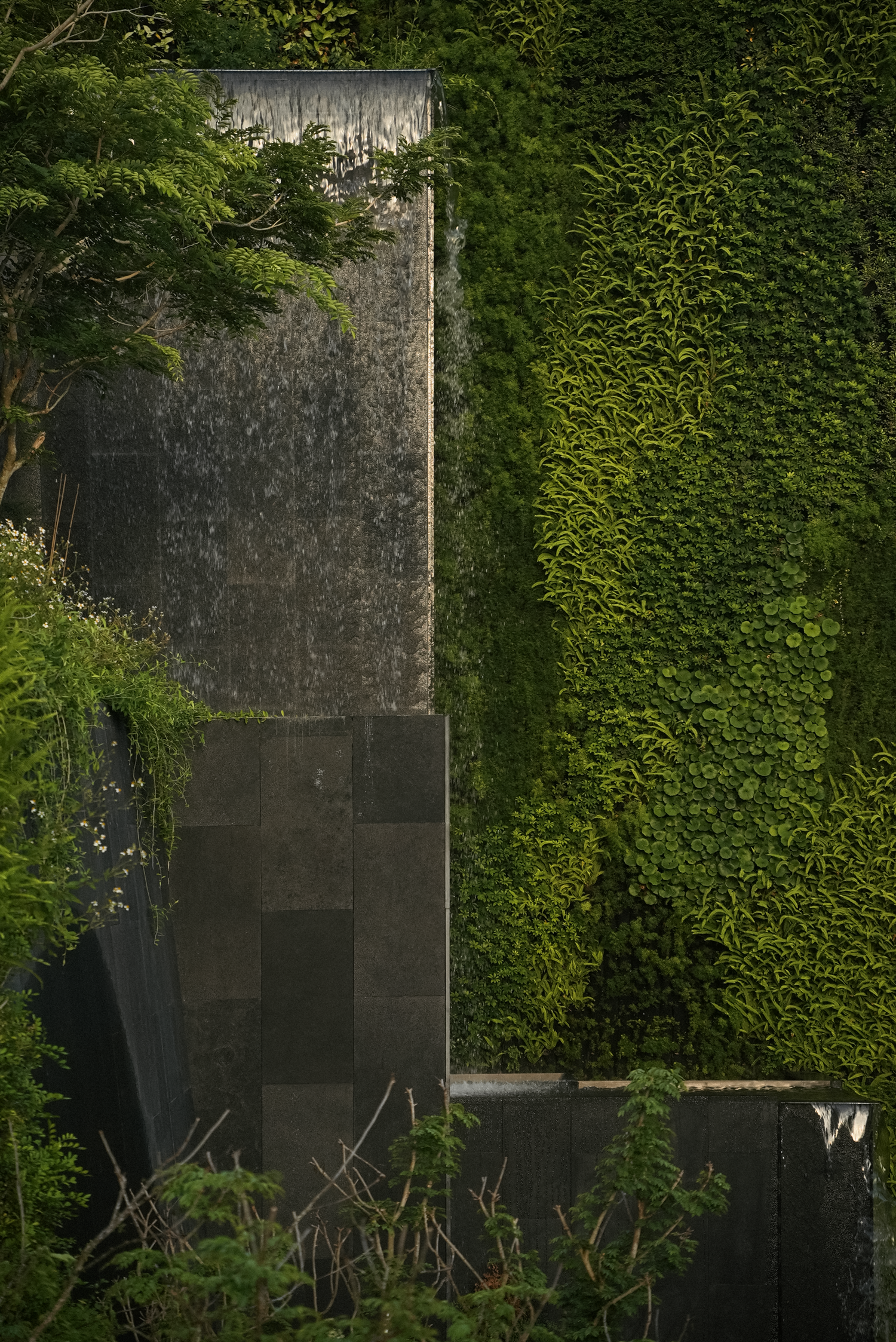 阿那亚三亚·山之境（西区）丨中国三亚丨JTL加特林,上海建言建筑设计等-85