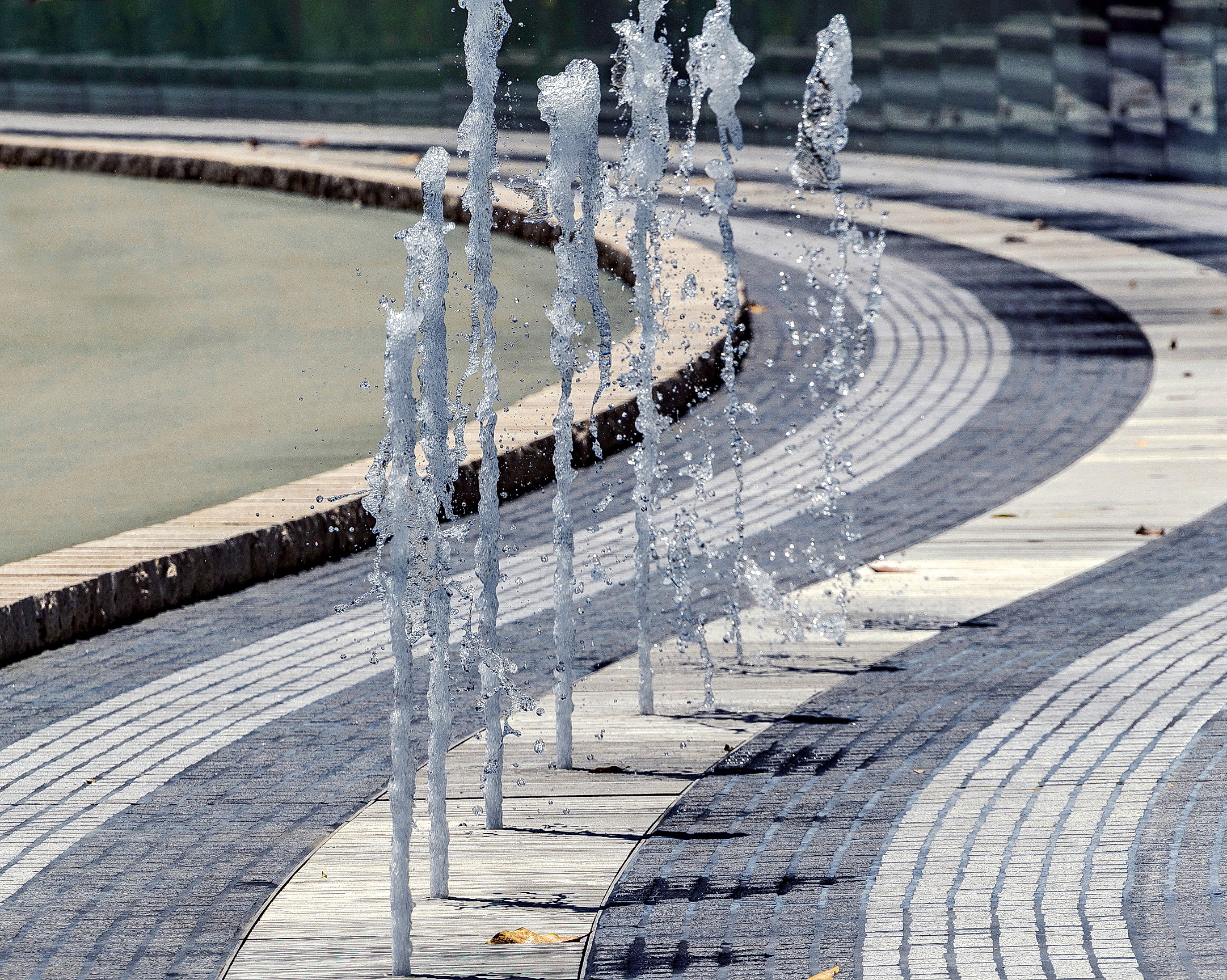 Salesforce Transit Center Park | PWP Landscape Architecture-78