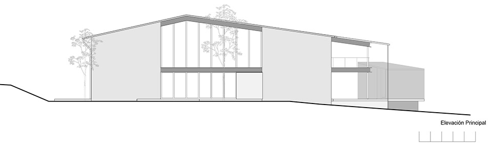 高树之家丨墨西哥丨1i Arquitectura-47