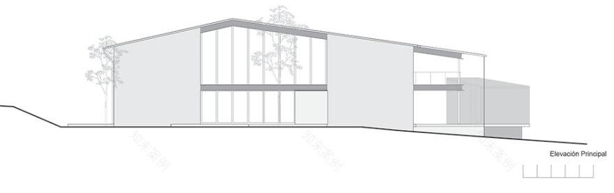高树之家丨墨西哥丨1i Arquitectura-47