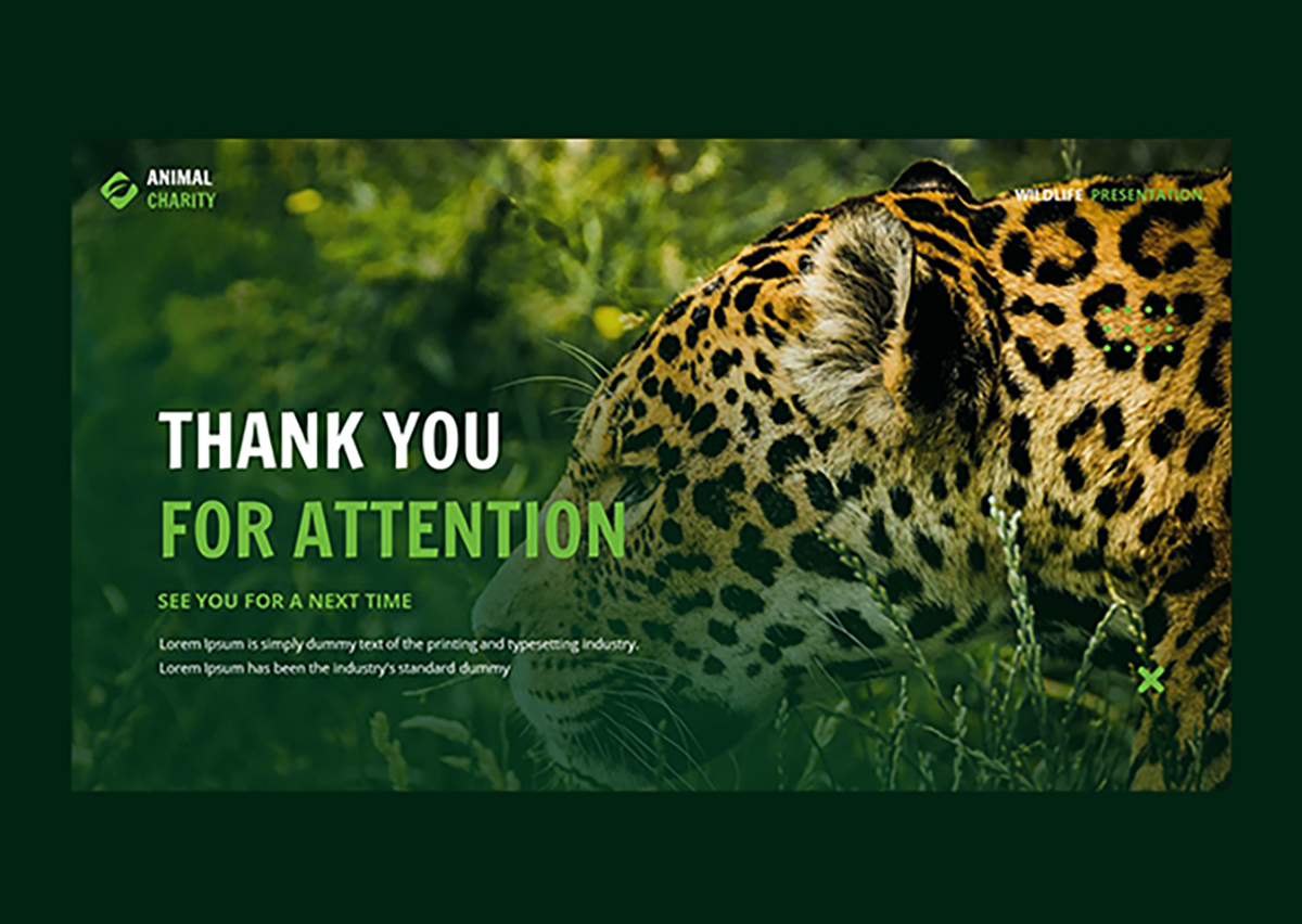 安尼康瑟夫 演示文稿模板 -11