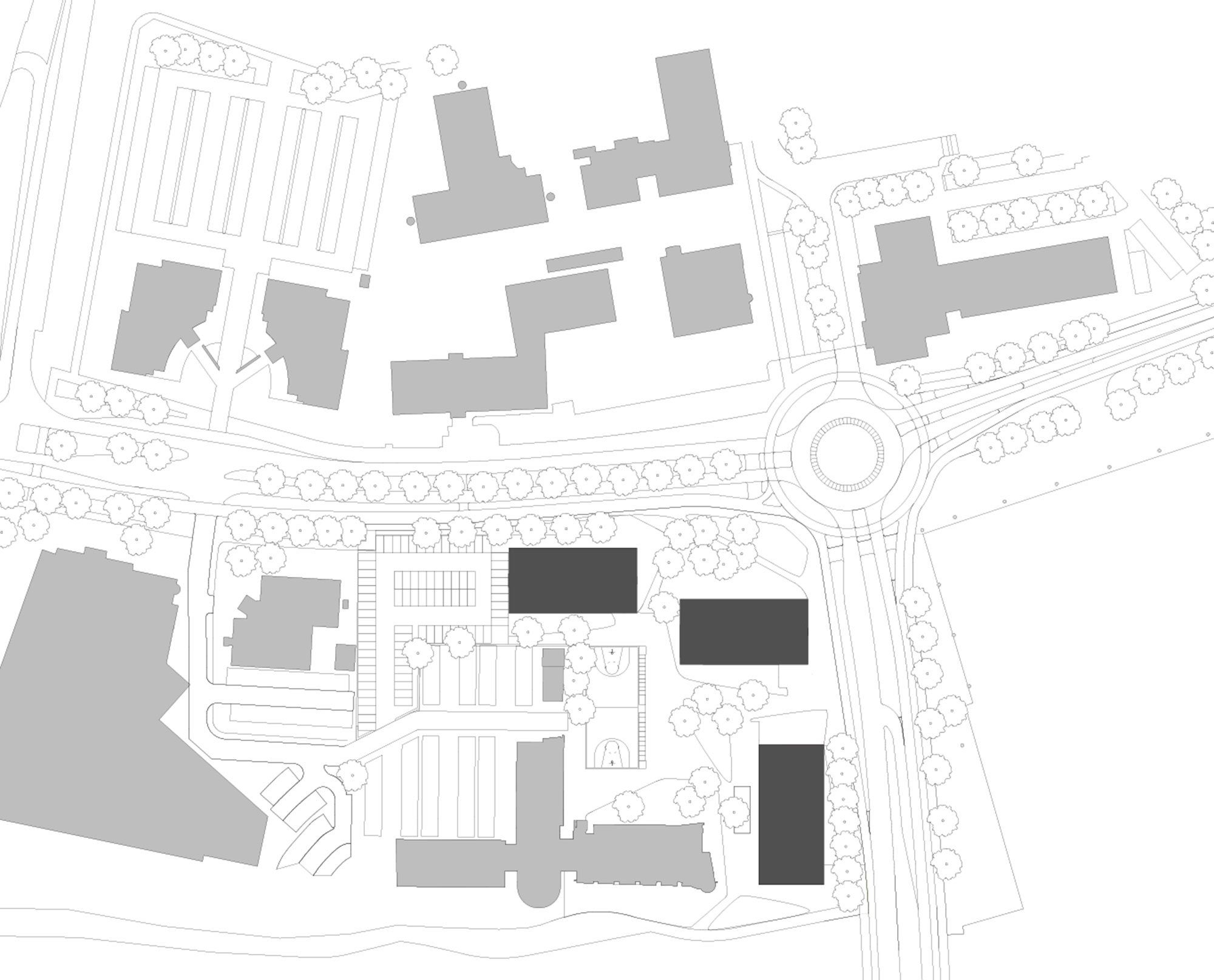 Studentenhuisvestiging, Zwolle-1