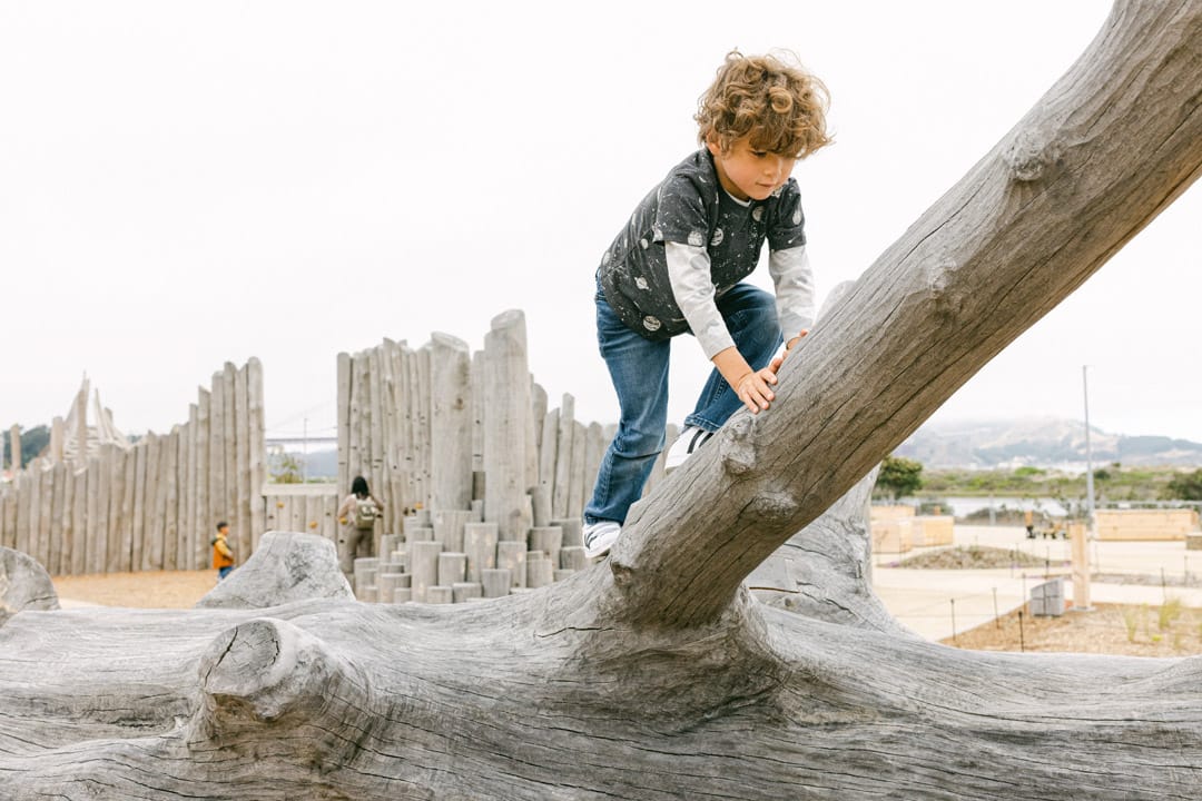 无忧之域 · Earthscape丨美国-30