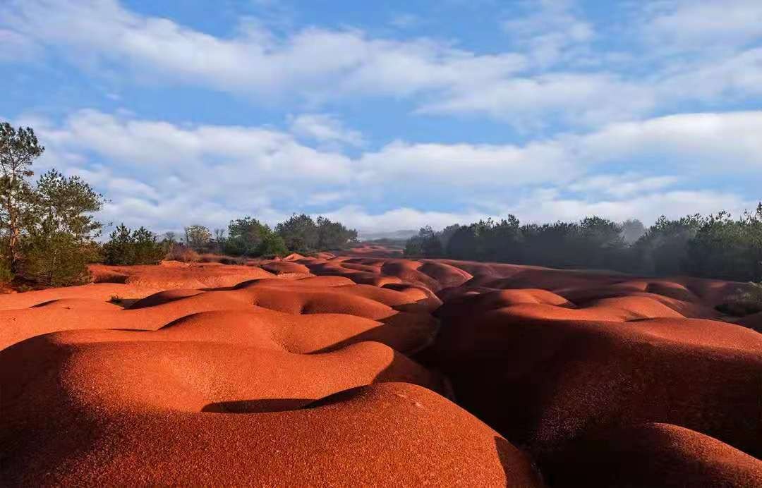 绿地安南小镇丨中国江西丨绿地江西区域管理总部技术管理中心-36