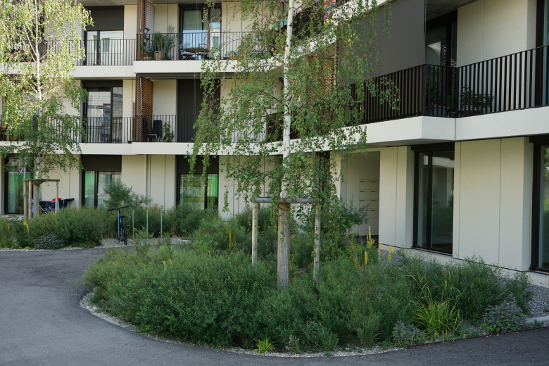 Berchtold.Lenzin Landschaftsarchitekten丨Wohnüberbauung Bachgraben丨瑞士-6