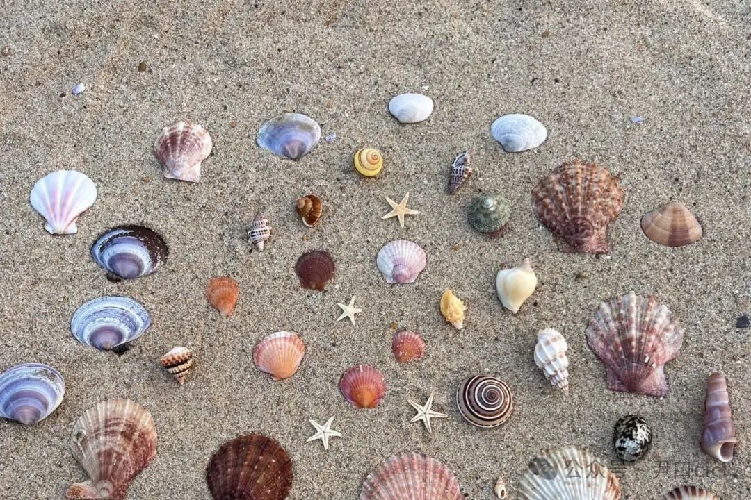 原舍岛屿系列｜躺平看海，把焦虑丢进太平洋。-39