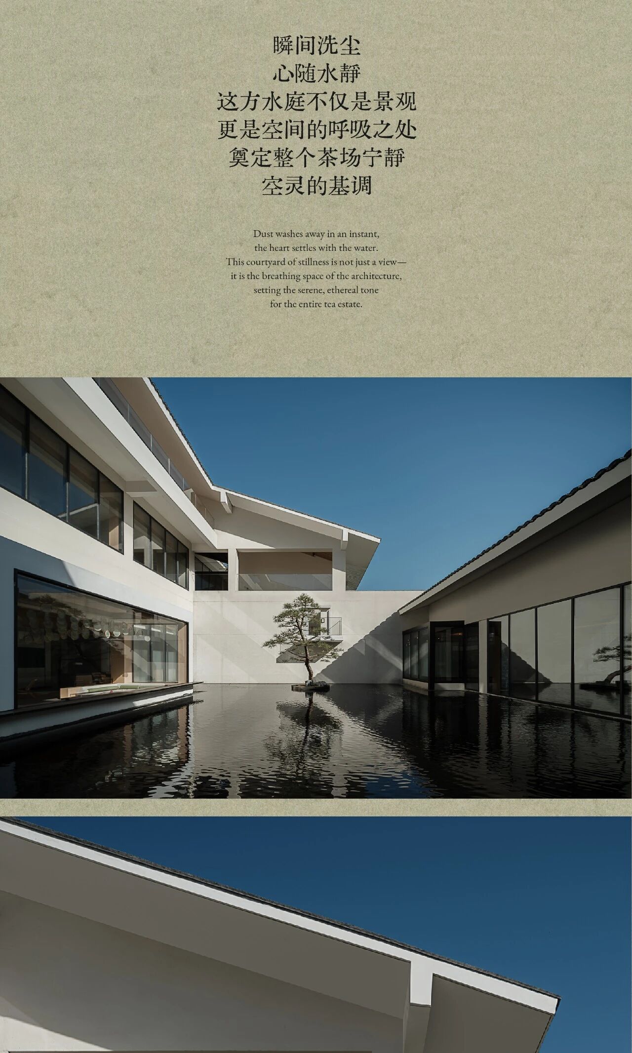 春山在望  溧阳天目湖玉枝茶场 茶语山房-40