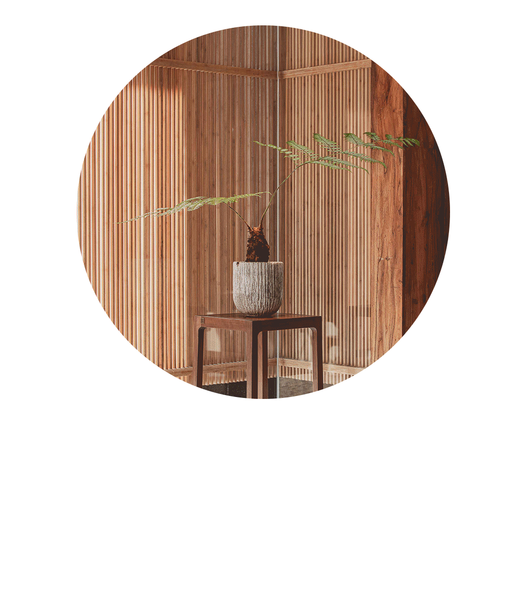 雨林古树茶茶室丨中国台州丨JWD 王韦航室内设计-29