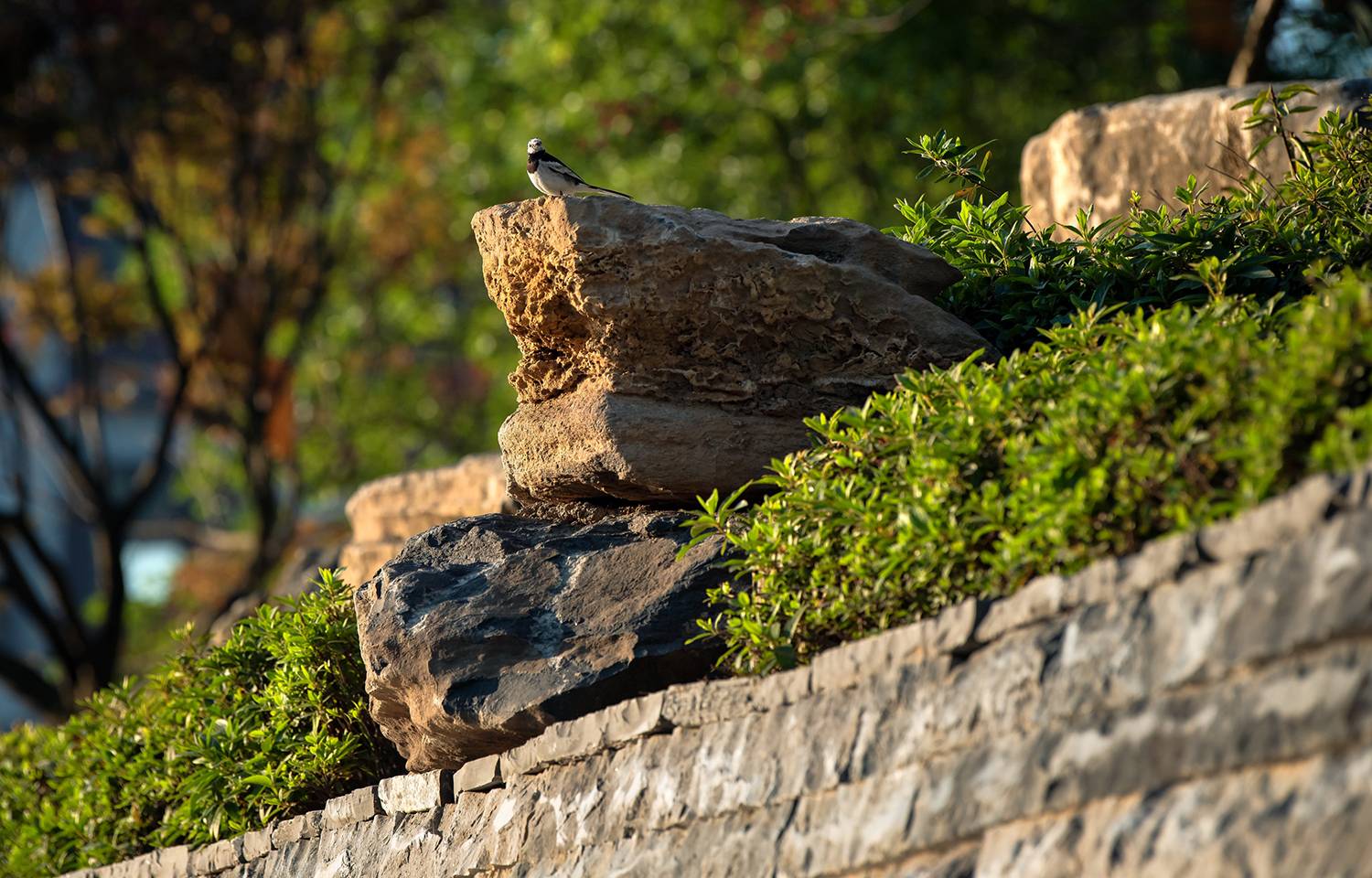 贵阳龙里阳光城·望乡住宅景观-32