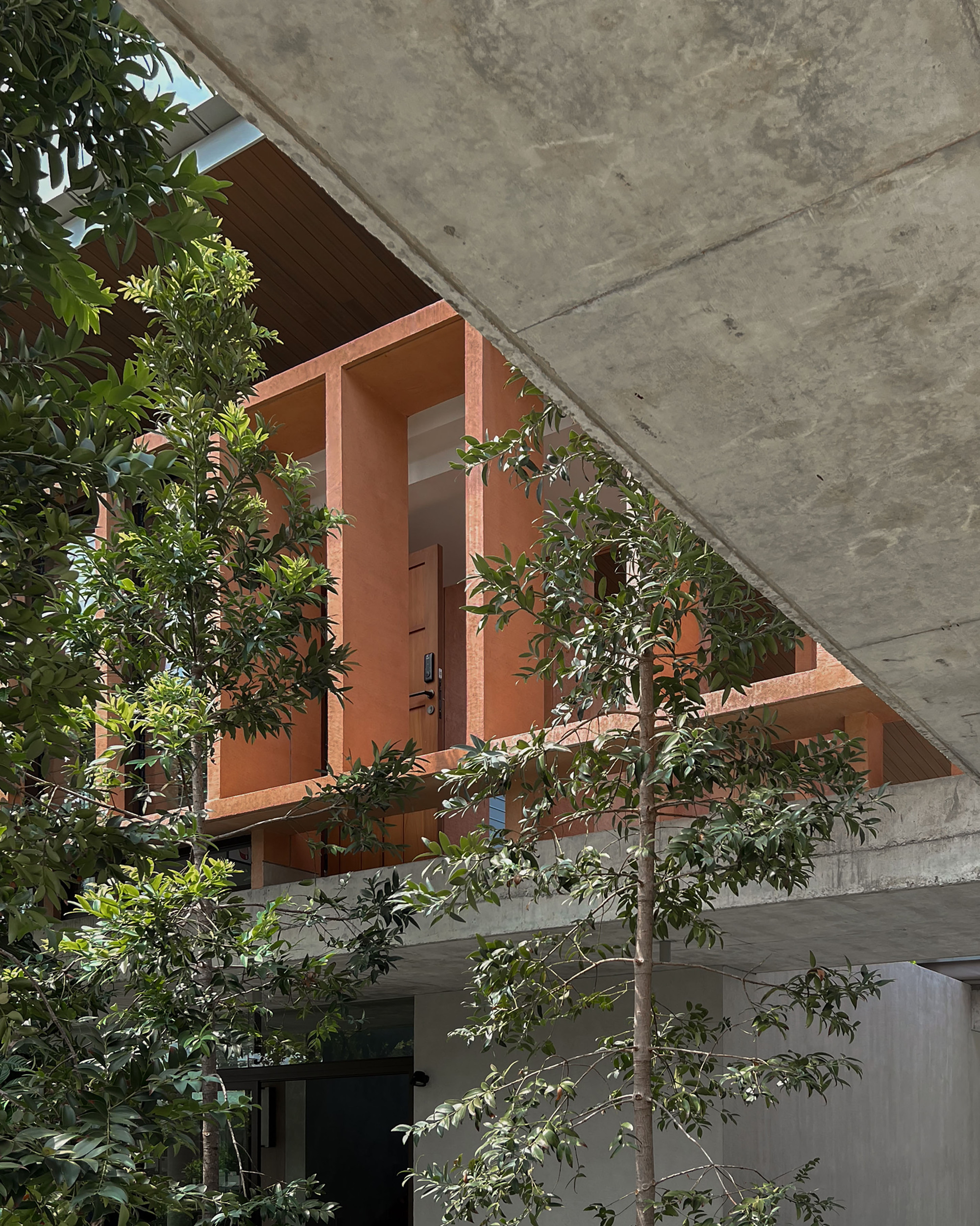 丨泰国丨Anonym-11