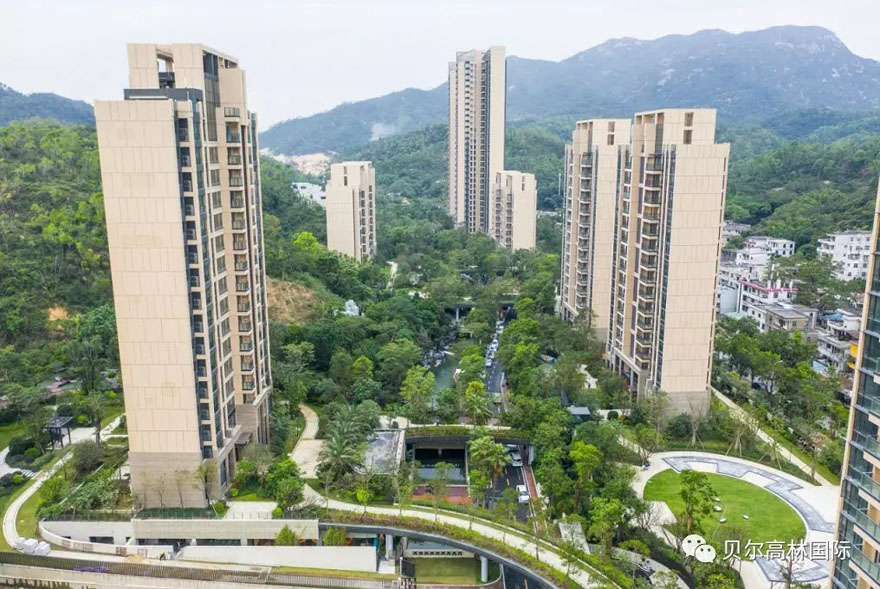 珠海恒荣·城市溪穀 | 绿色生态与艺术的完美融合-32